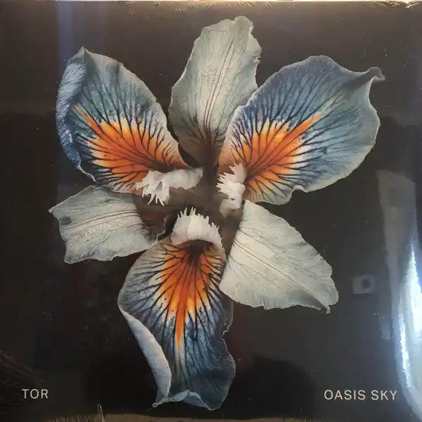 Brand New Oasis Sky | Mint (M) Mint (M)