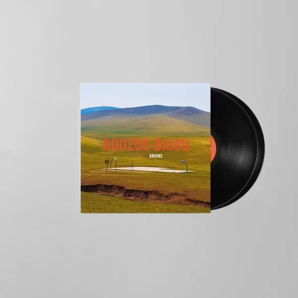 Grains (15Th Anniversary 180g 2LP) | Mint (M) Mint (M) Mega Sale