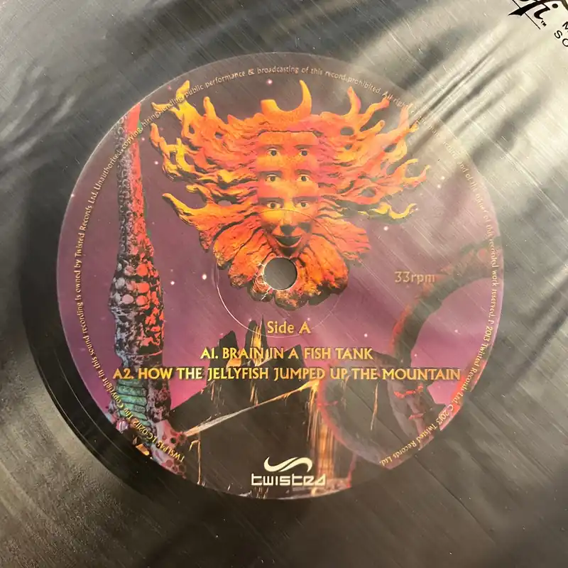 Museum Of Consciousness (RECORD 1 ONLY) | Near Mint (NM) Generic Original