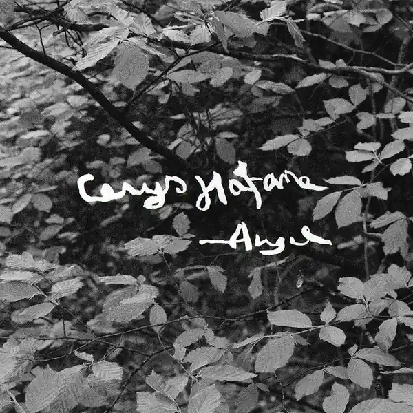 Angel [Lp] | Save Now