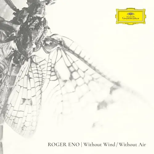Without Air [Lp] Without Wind | High Quality