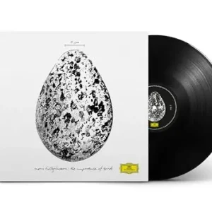 Super Sale The Importance Of Birds [12" Ep] |