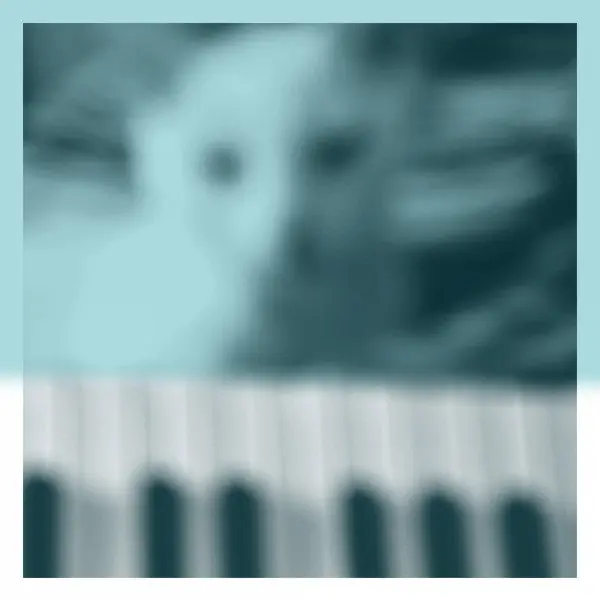 While Supplies Last Piano Works Vol.1 (Floating In Tucker's Basement) | Mint (M) Mint (M)