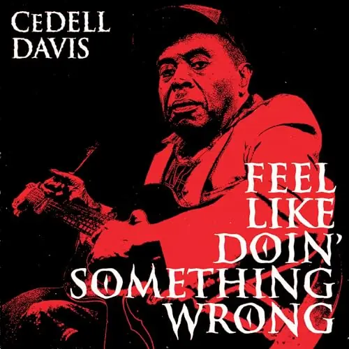 Shop Now (PRE-ORDER 10/3/25) Feel Like Doin' Something Wrong (VINYL) | Mint (M)