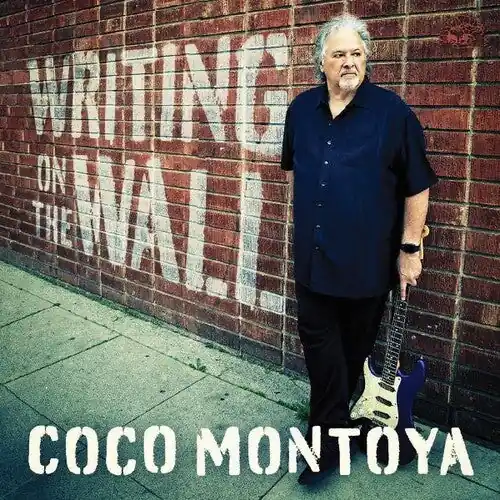 Writing On The Wall (Blue LP) | Mint (M) Mint (M) Time-Limited
