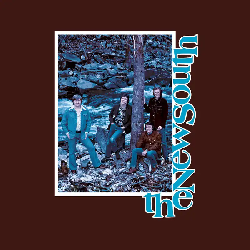 New Arrival The New South (Expanded) (Root Beer VINYL) | Mint (M) Mint (M)