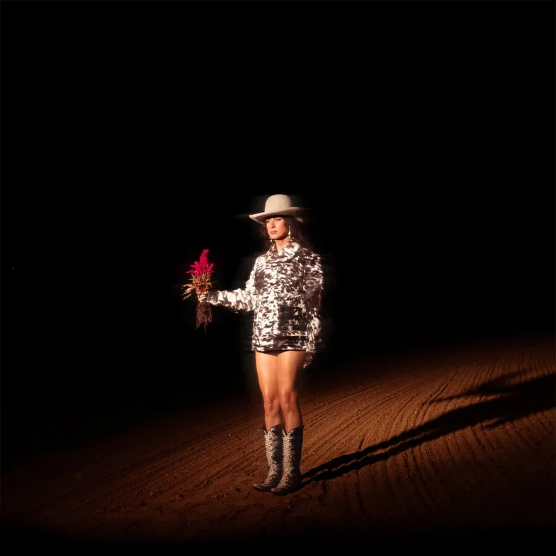 Limited Edition Made From The Dirt: The Blooms (CD) |