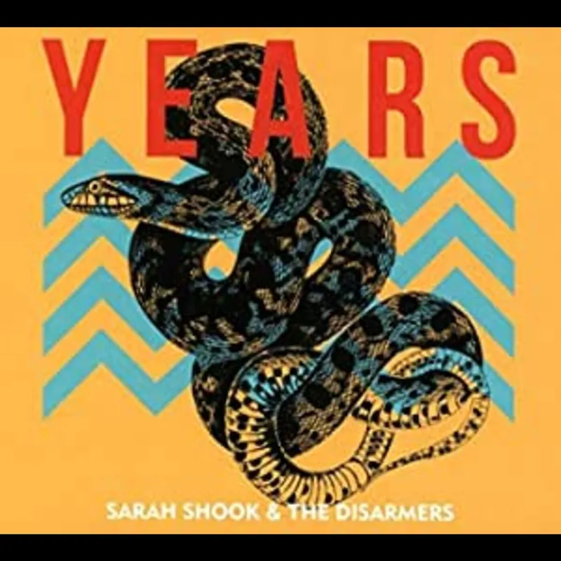 Mega Sale Years (180G VINYL) | Mint (M) Mint (M)