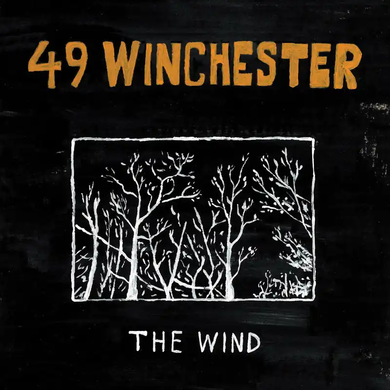 Bulk Order The Wind (LP) | Mint (M) Mint (M)