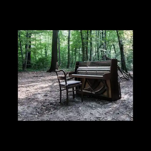 Acoustic II | Mint (M) Mint (M) Mega Sale