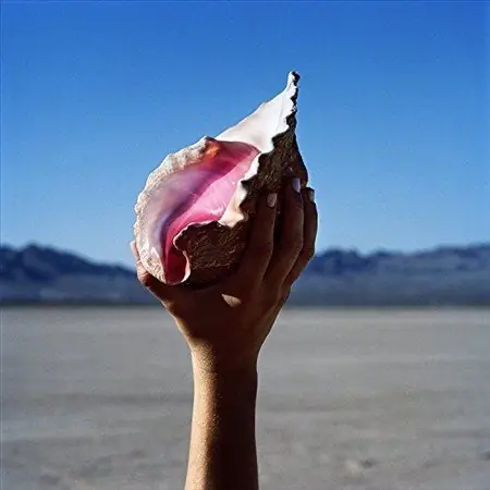 Wonderful Wonderful (VINYL) | Near Mint (NM or M-) Excellent+ (EX+) Hassle-Free Returns