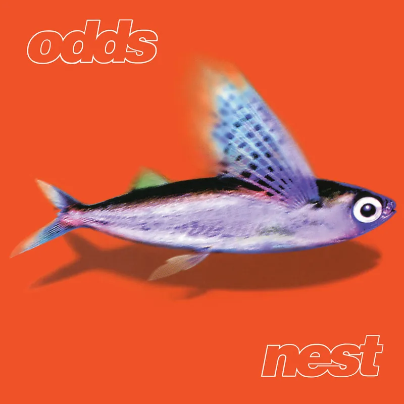 (PRE-ORDER 11/21/25) Nest (VINYL) | Mint (M) Mint (M) Worldwide Shipping