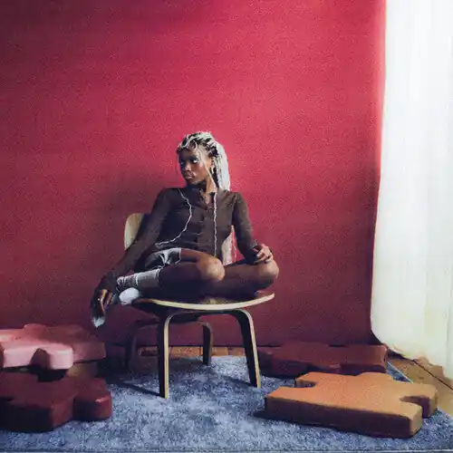 (PRE-ORDER 10/24//25) Describe (PINK VINYL) | Mint (M) Mint (M) Best Choice