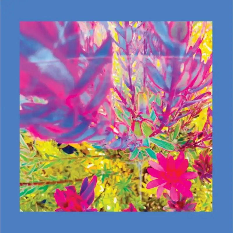 The Past Is A Garden I Never Fed (Sky Blue Vinyl) | Mint (M) Mint (M) Genuine