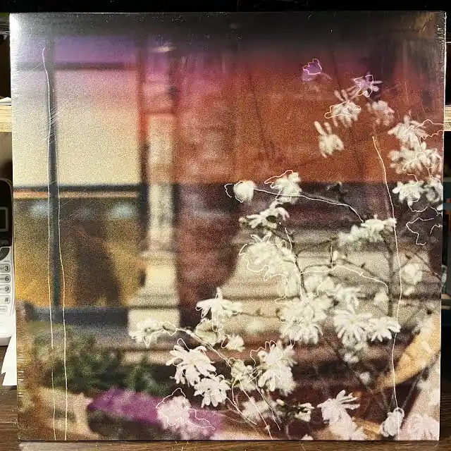 A Place You Grew Up In (VINYL) | Mint (M) Mint (M) Hot Deal