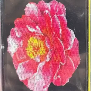 Top Rated Tribute To Nirvana (CASSETTE- UNOFFICIAL ) | Mint (M) Mint (M)