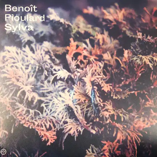 Handmade Benoit Pioulard - Sylva