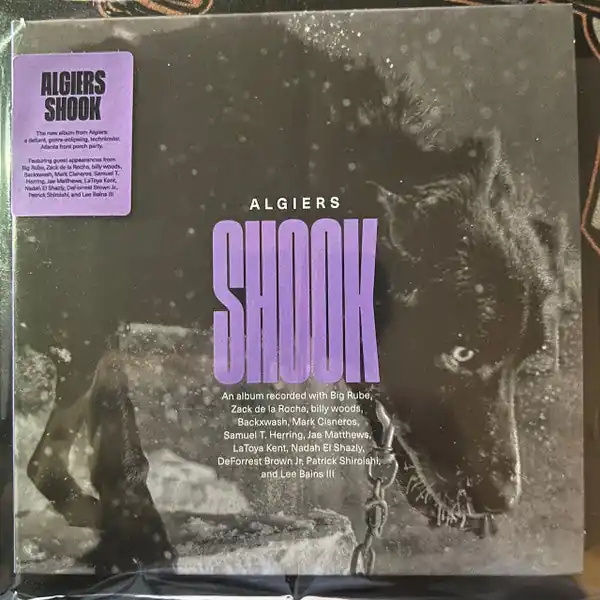 Algiers - Shook Luxury