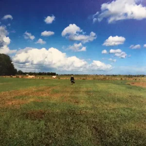 Best Seller Biosphere - The Hilvarenbeek Recordings