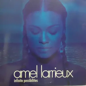 Amel Larrieux - Infinite Possibilities 1999 2 x Vinyl, LP, Album, Promo Reduced Price