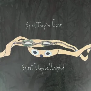 Animal Collective - Spirit They're Gone Spirit They've Vanished Holiday Sale