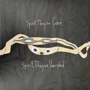 Animal Collective - Spirit They're Gone Spirit They've Vanished (GREEN VINYL) Big Sale