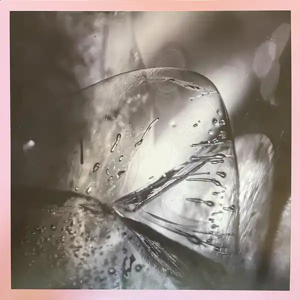 Wholesale Loscil - Clara