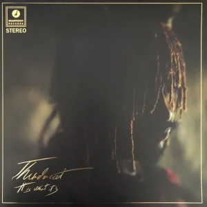Warranty Included Thundercat - It Is What It Is