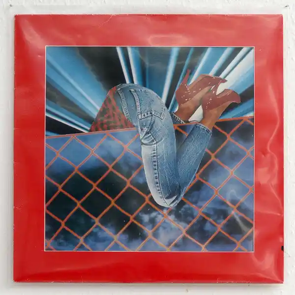 Various - 12 Compost Disco Years While Supplies Last