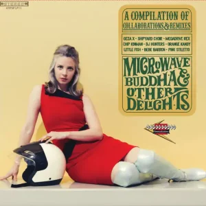 Various - Microwave Buddha and Other Delights Vinyl, LP, Compilation Best Seller