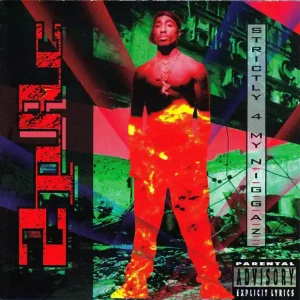 Free Returns 2Pac - Strictly 4 My N.I.G.G.A.Z.