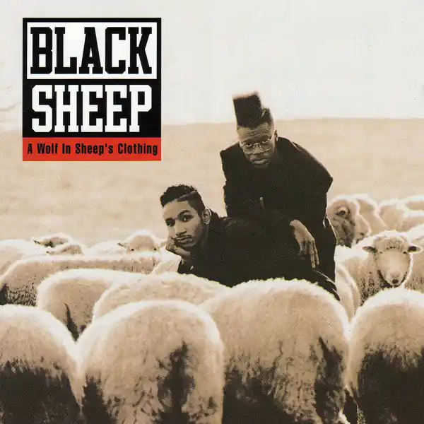 Seasonal Sale Black Sheep - A Wolf In Sheep's Clothing