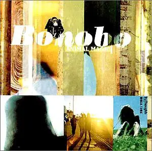 Top Pick Bonobo - Animal Magic