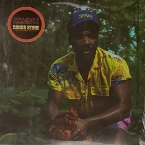 New Arrival Childish Gambino - Bando Stone And The New World