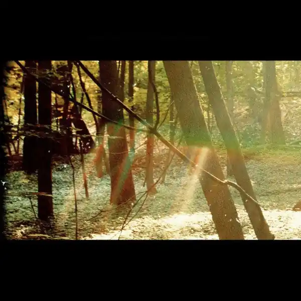 Childish Gambino - Camp Don’t Miss Out