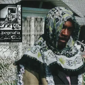 JPEGMAFIA - All My Heroes Are Cornballs 2019 2 x Vinyl, LP, Album Affordable