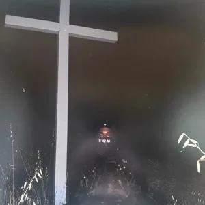 JPEGMAFIA - I Lay Down My Life For You (WHITE VINYL) Super Sale