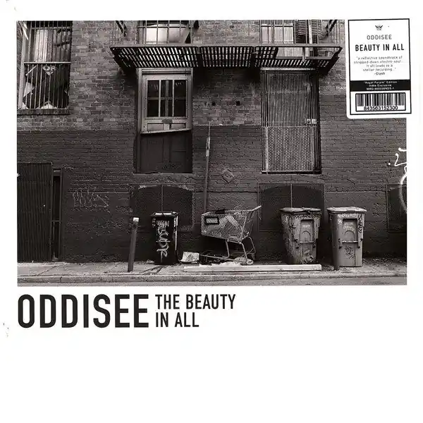 Oddisee - The Beauty In All Special Offer