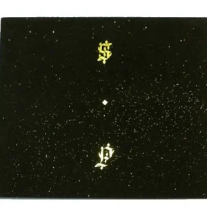 Shabazz Palaces - Black Up While Supplies Last