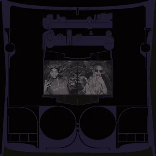 Shabazz Palaces - Exotic Birds of Prey Vinyl, LP , Translucent White Mega Sale