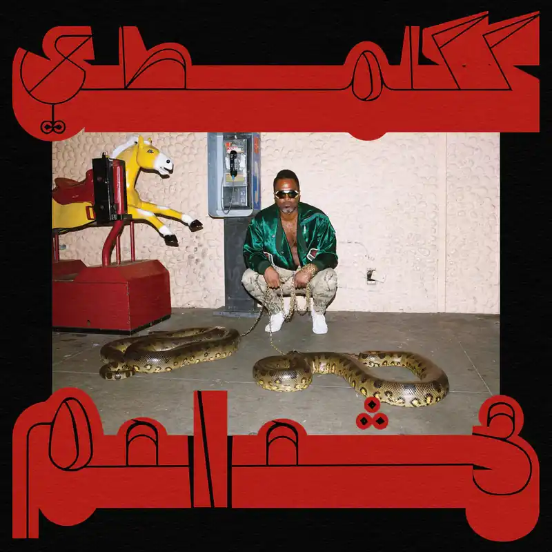 Shabazz Palaces - Robed in Rareness Limited Offer