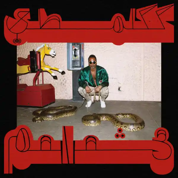 Shabazz Palaces - Robed in Rareness Vinyl, LP, Stereo , Transparent Red Hassle-Free Returns