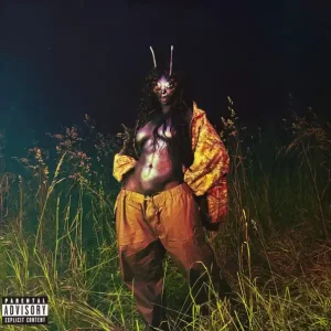 Secure Checkout SZA - SOS Deluxe: Lana