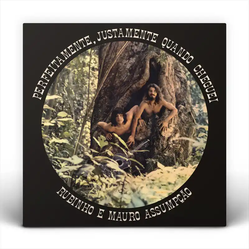 Rubinho E Mauro Assumpo/Perfeitamente, Justamente Quando Cheguei [LP] Markdown