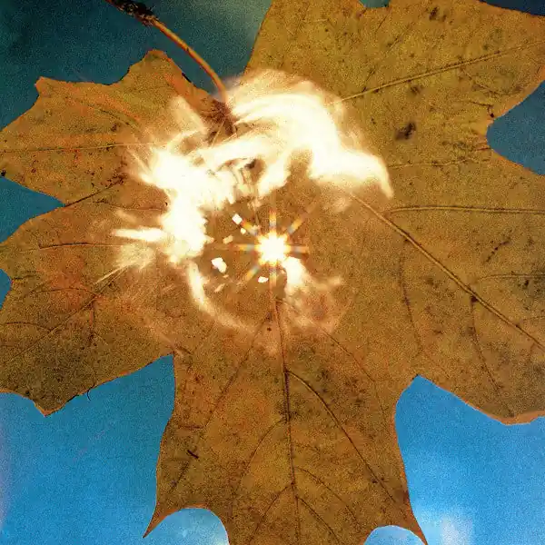 Soyuz/Force Of The Wind (Indie Exclusive Clear Vinyl) [LP] Don’t Miss Out