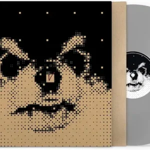 Direct From Manufacturer V (BTS)/Layover (Gray Vinyl) [LP]