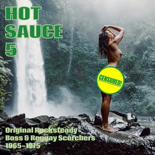 Various Artists/Hot Sauce Vol. 5 [LP] Discount
