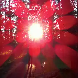 Editor’s Pick Russian Circles/Empros (Indie Exclusive Clear w/ Red, Silver & Magenta