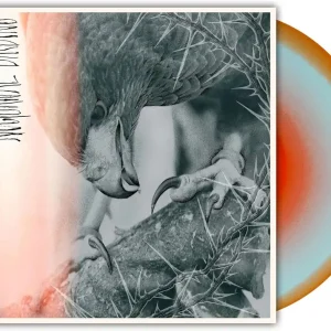 Affordable Author & Punisher/Nocturnal Birding (Custom Merge Vinyl) [LP]