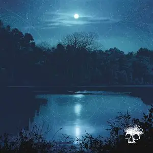 Planes Mistaken For Stars/Do You Still Love Me? (Transparent Ice Blue Bulk Order